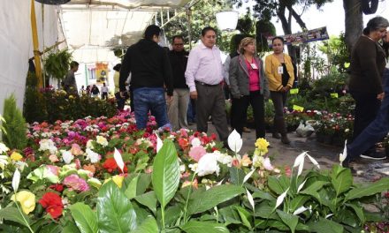 Feria de las Flores 2017 en SGS