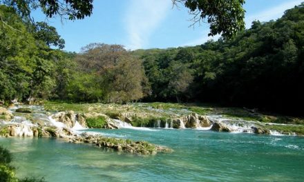 Evitar la degradación cuenca del Rio Gallinas