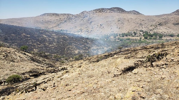 Combate de incendio en la comunidad el Zapote